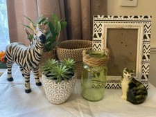 Home Decoration Ornaments Bundle Zebra Jungle Tribal Theme