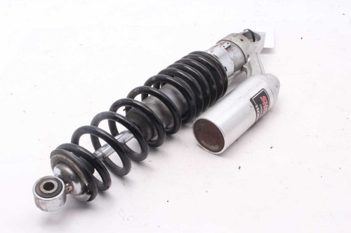 Strut rear right shock - rear,