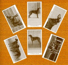 DEERHOUND SET OF SIX NAMED DOG