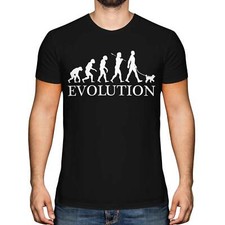 MINIATURE POODLE EVOLUTION OF