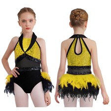 Girls Tulle Skirted Leotard