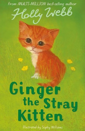 Ginger the stray kitten