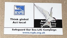 Arctic Tern RSPB- Enamel Pin