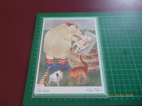 Erika oller cat wash - oller,