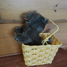 Wizard of Oz Toto in Basket