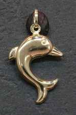9 Carat Yellow Gold Hollow