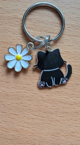 Beautiful little black - , kitten