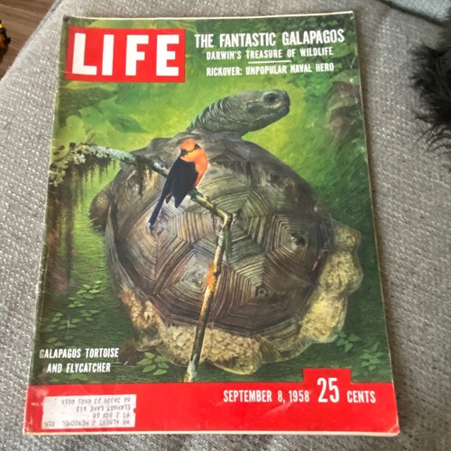 Vintage life magazine - vintage,