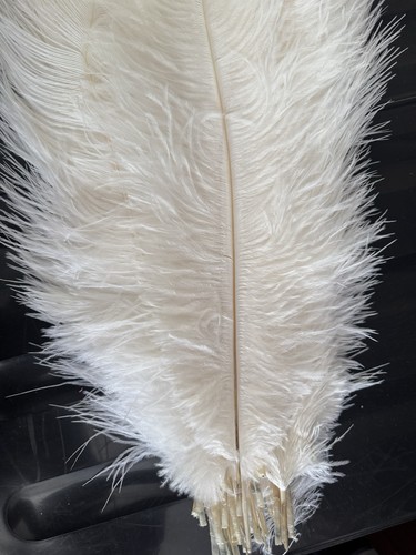 White natural ostrich feather - white,