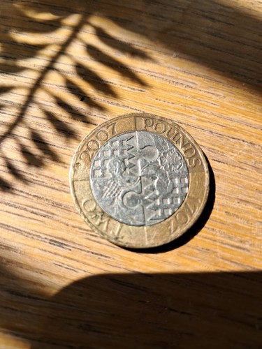 Rare 1707 2007 pound coin - pound,