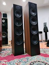 SCANSONIC L20 PAIR FLOOR SPEAKERS EX DEMO BY RAIDHO