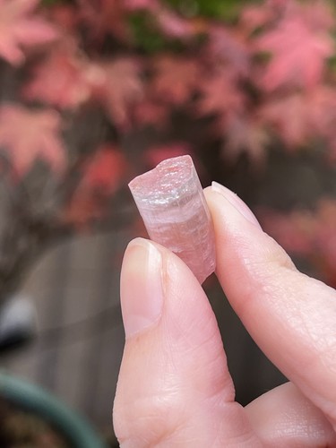 Pink tourmaline rod rubellite - pink,