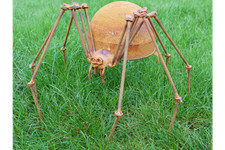 Huge 35cm Spider Garden