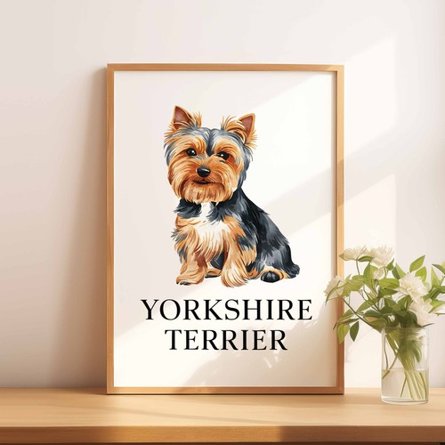 Yorkshire terrier dog - a4, a5