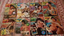 BRUCE LEE KUNG FU MONTHLY 45