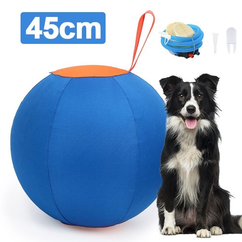 Herding ball large grazing - ball,