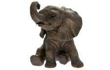 Baby  Africa Elephant Sitting