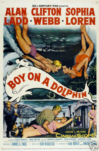 Boy dolphin sophia - boy, on