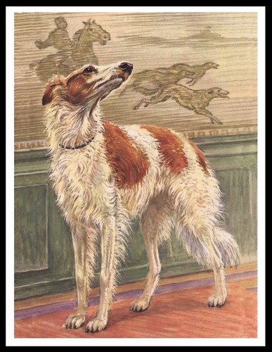 Borzoi dog art - borzoi, print