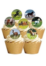 Cake Toppers Horse & Ponies 12