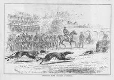 GREYHOUNDS Artificial Hare