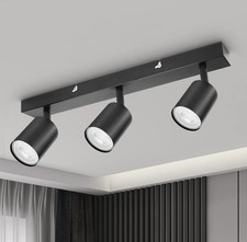 Ceiling Light Spotlight