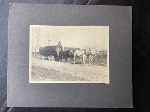 Antique truck logging cart - truck,