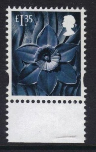 W153 daffodil wales - w153,