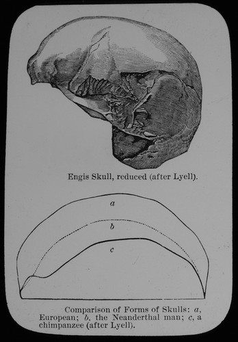 Engis skill comparisons - skill, &