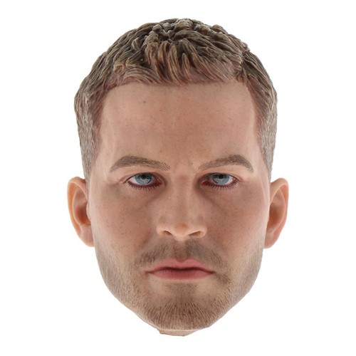 Scale european and - 1/6, male