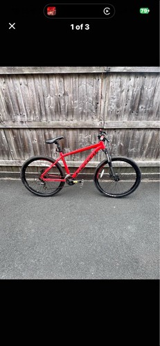Mountain bike - mountain,