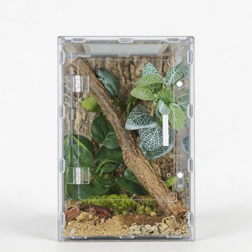 8x8x12 acrylic reptile - acrylic,
