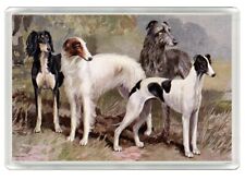 BORZOI SALUKI GREYHOUND