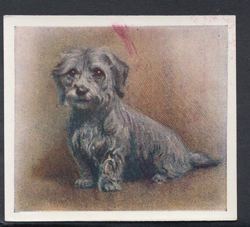 Godfrey phillips cigarette - godfrey,
