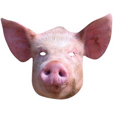 Pig Animal 2D Single Card