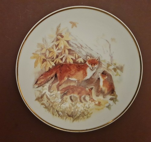 Wildlife britain foxes by - of, britain: