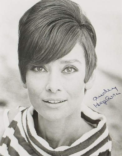 Audrey hepburn signed - hepburn,
