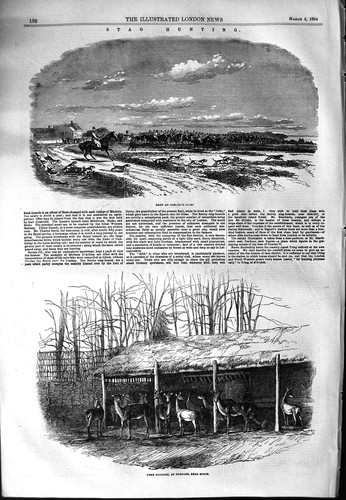 Old antique print - old, 1854