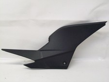 RIGHT SIDE FLANK FOR 2011