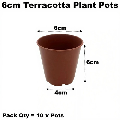 6cm plant pots plastic - plant,
