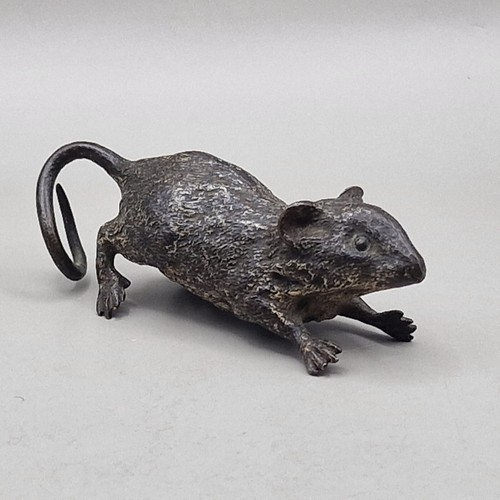 Austrian cold painted bronze - austrian,