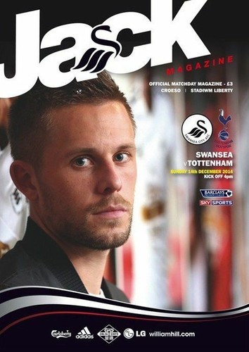 2014 swansea city - 2014/15,