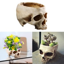 Fancy Realistic Human Skull