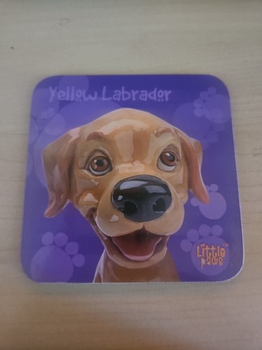 Yellow labrador lab little - lab,