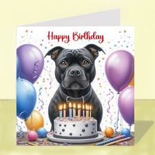 Staffordshire Bull Terrier Dog