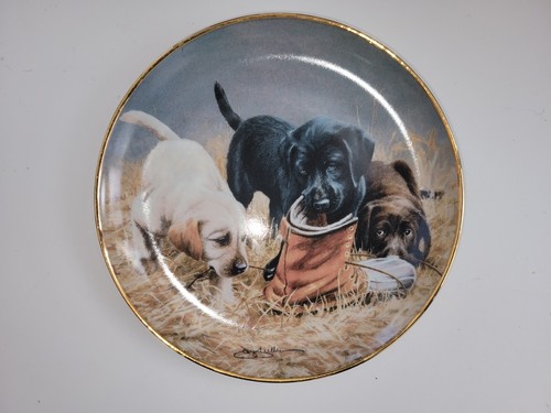 Franklin mint collectors - mint,