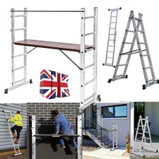 Platform Ladder Combination