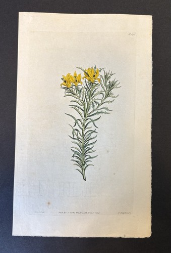 Antique 1815 hand colored - 1815, hand-colored