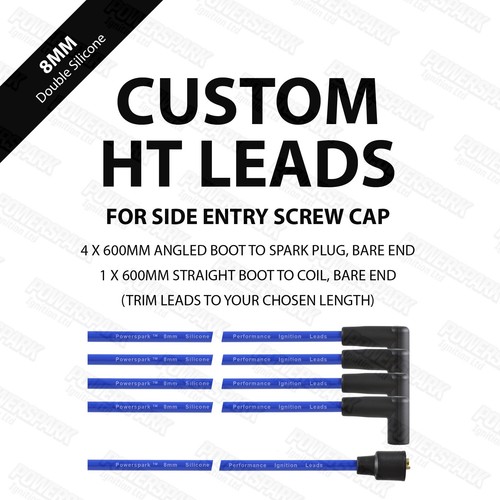 Side entry leads pack - ht, blue