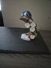 John Berwick Kingfisher Bird